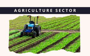 Agriculture Sector