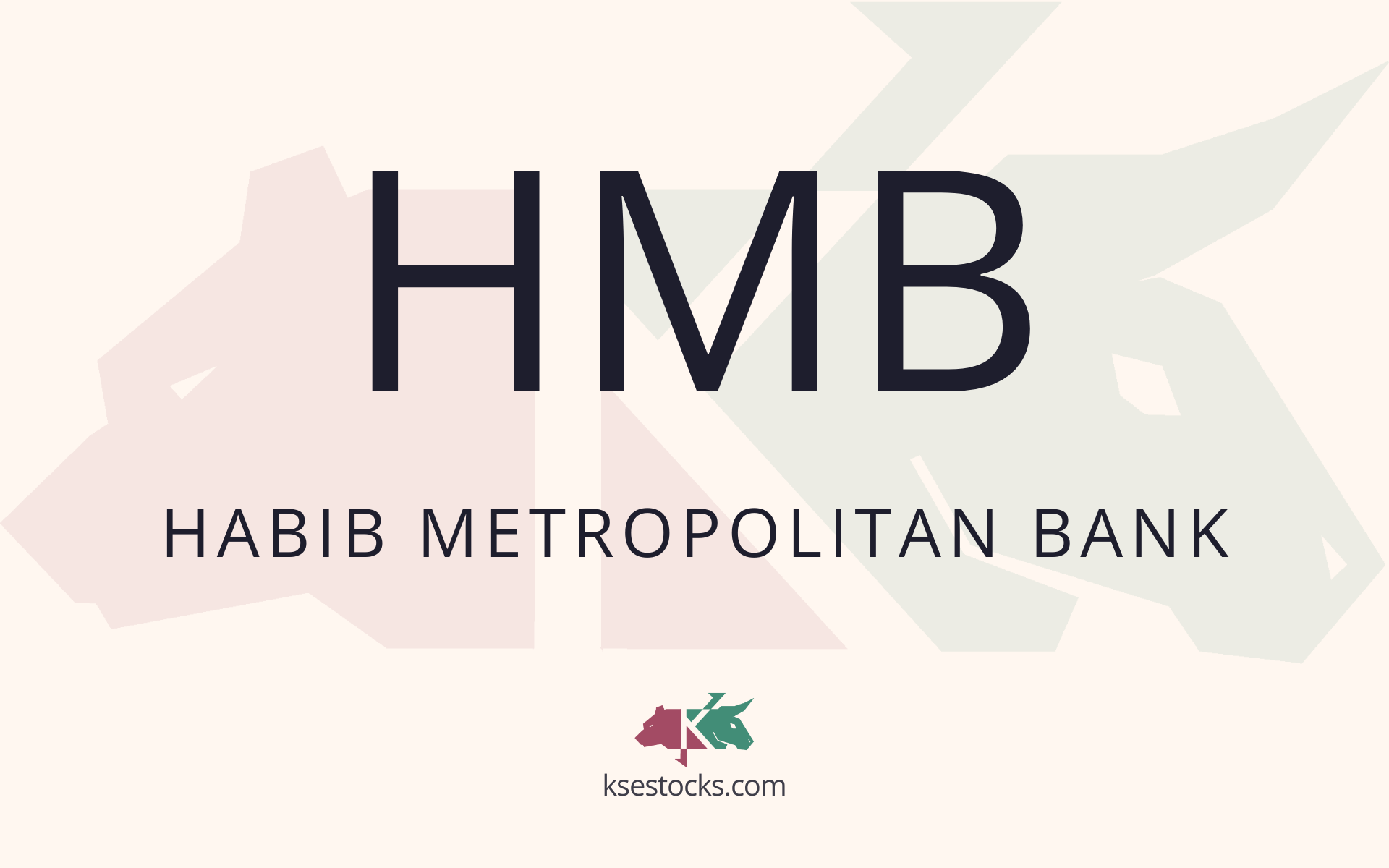 How is HMB handling financial challenges to grow?