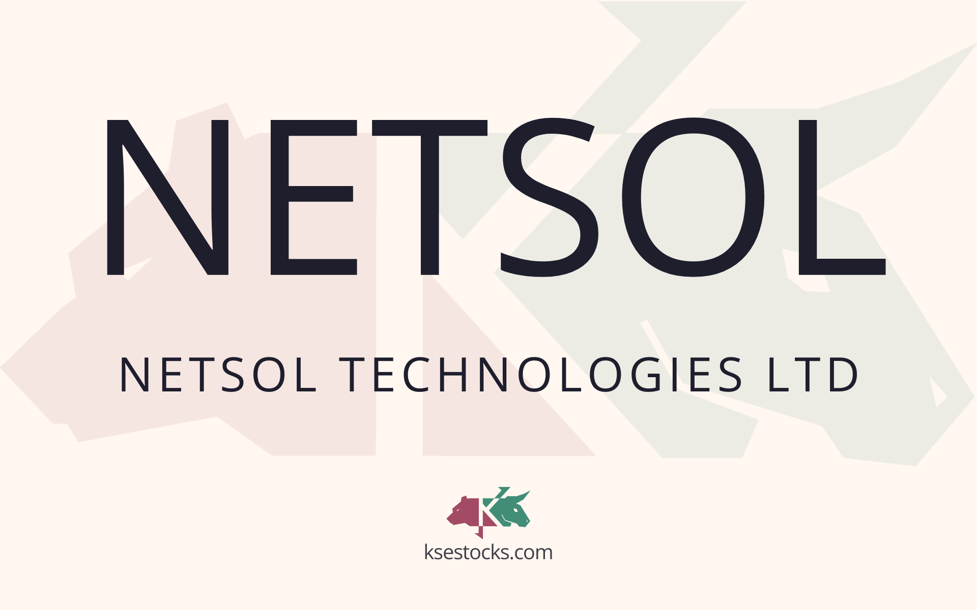 NETSOL EMPOWERING THE FUTURE OF AUTO FINANCE
