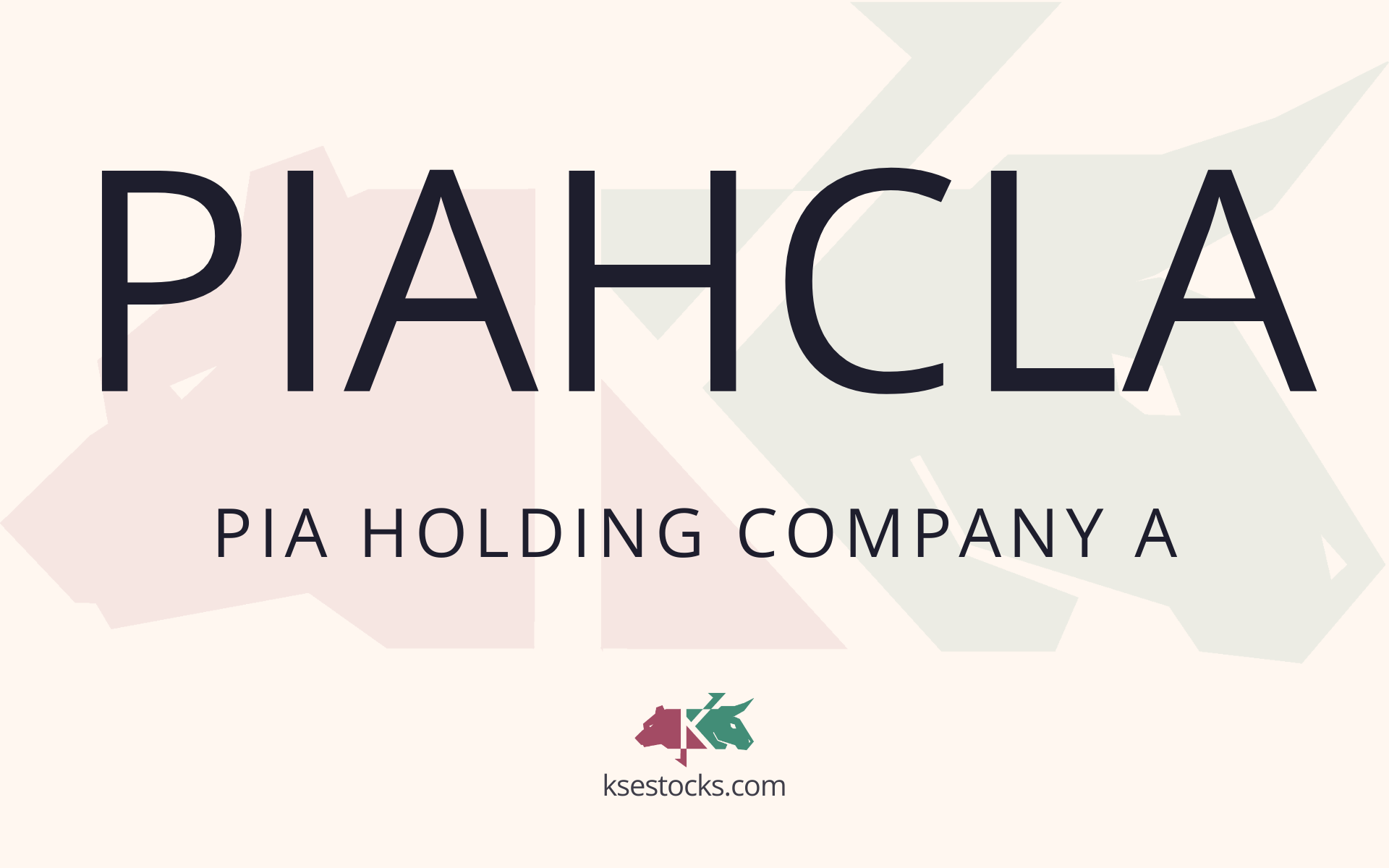 PIA Holding Company Limited (PIAHCL): FY24 in Focus