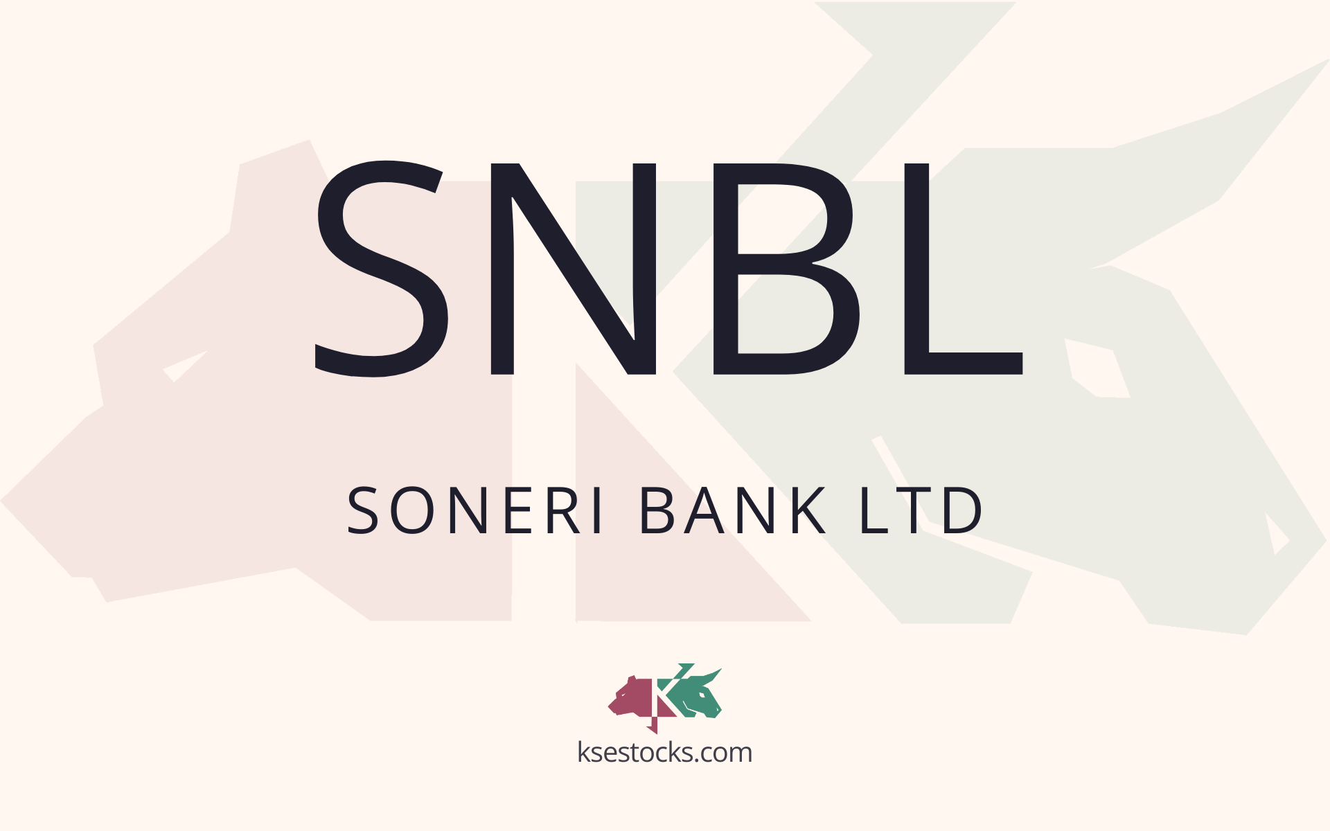 5 Things SNBL Management Quietly Revealed (But Investors Missed)