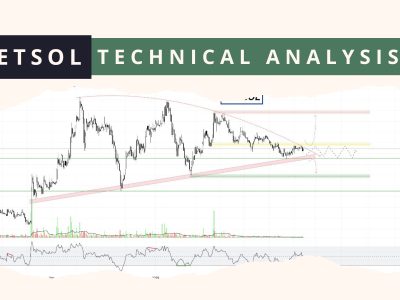 NETSOL technical analysis feb 2025